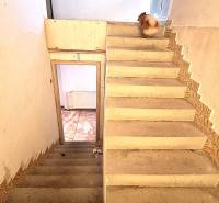 Eine Treppe in einem Einfamilienhaus mit einem Hund oben auf der Treppe. Stilvolle Fliesen ergänzen die Wände.