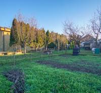 Der Garten beim Einfamilienhaus in der Straße Pod kopcom in Nové Zámky, umgeben von Bäumen.
