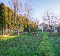 Ein Garten bei einem Einfamilienhaus in Nové Zámky in der Straße Pod kopcom, mit Rasen und Bäumen.