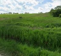 Baugrundstück in Lomnická, Vranov nad Topľou, mit Rasenfläche und hügeliger Landschaft.