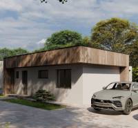 Ein Einfamilienhaus in Žihárec, moderne Autos, ein gepflegter Garten, klarer Himmel und Bäume im Hintergrund.