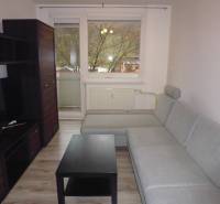 Wohnzimmer in einer 2-Zimmer-Wohnung mit grauem Sofa, dunklen Möbeln und Holzboden.