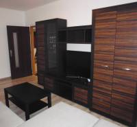 Wohnzimmer mit Möbeln und Holzboden in einer 2-Zimmer-Wohnung.