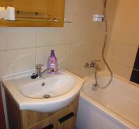 Badezimmer mit Badewanne und Waschbecken in einer 2-Zimmer-Wohnung.