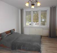 Schlafzimmer in einer 2-Zimmer-Wohnung mit einem Bett und einem Boden in Holzoptik, graue Vorhänge.