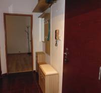 Eingangsbereich einer 2-Zimmer-Wohnung mit dunklem Boden und hellen Möbeln.