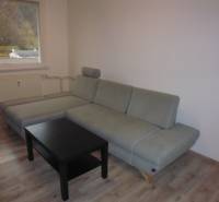 Wohnzimmer in einer Zweizimmerwohnung mit grauem Sofa und Holzboden.