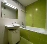 Badezimmer mit grünen Fliesen in einer 2-Zimmer-Wohnung mit Waschbecken und Badewanne.