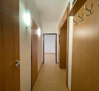 Der Flur in der 2-Zimmer-Wohnung mit einem Boden in Holzoptik und einer Garderobe an der Wand.