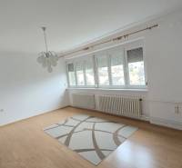 Wohnzimmer in einer 3-Zimmer-Wohnung mit Holzboden und Teppich.