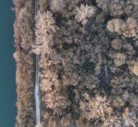 Luftaufnahme des Waldes in Nová Ves nad Váhom bei den Erholungsgrundstücken. Die Straße führt am Fluss entlang.