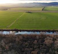 Landschaft mit Feldern und Fluss in der Nähe von Nová Ves nad Váhom, Erholungsgrundstücke.