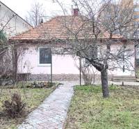 Ein Einfamilienhaus in Levice in der Straße 29. augusta mit Vorgarten und Bäumen.