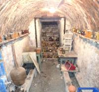 Ein Keller im Einfamilienhaus mit einer Ziegeldecke und Regalen mit Eingemachtem.