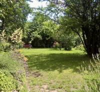 Ein Garten mit einer Bank, umgeben von üppiger Vegetation und Bäumen, schafft eine friedliche Umgebung.