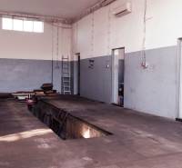 Reparatur von Autos in Produktionsräumen mit Holzbodenoptik und Wartungsgrube.