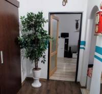 Innenraum einer 3-Zimmer-Wohnung mit Pflanze, Holzboden und Übergang in einen weiteren Raum.