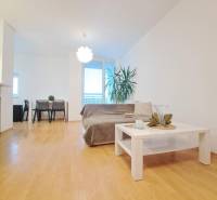 Wohnzimmer in einer 2-Zimmer-Wohnung mit Holzboden, Sofa und Couchtisch.