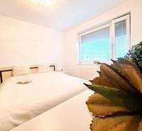 Helles Schlafzimmer mit großem Bett, Buch und Pflanze in einer 2-Zimmer-Wohnung.