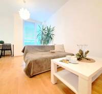 Wohnzimmer in einer 2-Zimmer-Wohnung mit Holzboden, Sofa und Tisch.