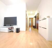 Wohnzimmer in einer 2-Zimmer-Wohnung mit Fernseher und Boden in Holzoptik.