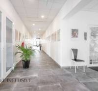 Ein heller Flur mit einer Pflanze und Bildern, in der Vajanského-Straße, geeignet für Geschäftsräume.