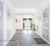 Ein heller Innenraum mit Türen zu Geschäftsräumen in der Vajanského-Straße mit der Anwesenheit von Pflanzen.