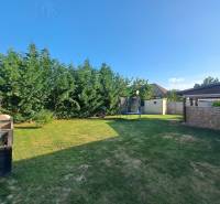 Der Garten eines Einfamilienhauses in Čierny Brod mit Rasen, Trampolin und dichten Nadelbäumen.