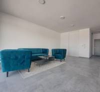 Geschäftsräume mit blauen Sofas, einem Konferenztisch auf einem Teppich und grauen Fliesen.