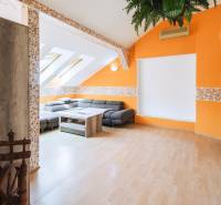 Kúpte si VEĽKORYSÝ PODKROVNÝ 4 i byt so SPOLOČNOU ZÁHRADOU a PIVNICOU