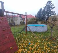 Gartenanlage in Dunajská Streda mit Pool und Kletterwand bei einem Einfamilienhaus.