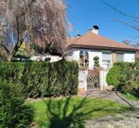Ein Einfamilienhaus in Šaľa mit gepflegtem Garten, blühenden Bäumen und einer Hecke.