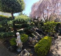 Der Garten eines Einfamilienhauses in Šaľa mit einer Statue, gepflegten Sträuchern und blühenden Bäumen.