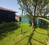 Gärten in Šaľa mit Rasen, Baum und geflochtenem Zaun bei sonnigem Wetter.