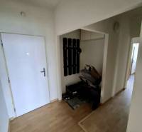 Flur in einer 4-Zimmer-Wohnung mit Garderobe, Kinderwagen und Boden in Holzoptik.