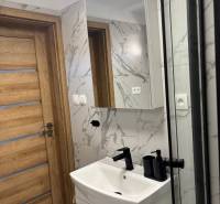 Badezimmer mit Holztüren, Waschbecken und Spiegel in einem Einfamilienhaus.