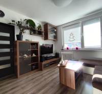 Wohnzimmer in einer Einzimmerwohnung mit Holzboden und hellen Möbeln.