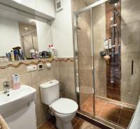 Badezimmer einer Einzimmerwohnung, Duschkabine, Waschbecken, WC und Schränke.