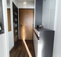 Eingangsbereich in einer Einzimmerwohnung mit Holzboden und einem Schrank.