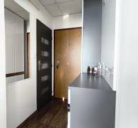 Der Flur mit einem Boden in Holzoptik und weißen Möbeln in einer Einzimmerwohnung.