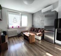 Wohnzimmer einer Einzimmerwohnung mit Holzboden, Sofa und Küchengeräten.