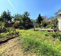 Ein Garten bei einem Einfamilienhaus in Partizánske mit vielfältigen Pflanzen und einer Rasenfläche.