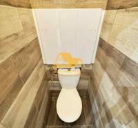 Toilette mit Holzdekorfliesen in einer 3-Zimmer-Wohnung.