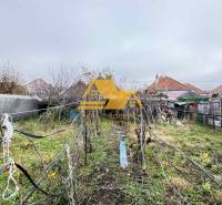 Ein überwucherter Garten hinter einem Einfamilienhaus in Dvory nad Žitavou mit einem Weinberg und einem Schuppen.