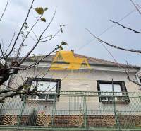 Ein Einfamilienhaus in der Straße in Dvory nad Žitavou mit einem Zaun und einem Baum ohne Blätter.