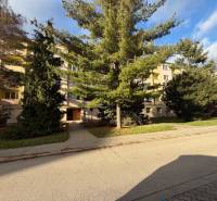 Wohnhaus mit Nadelbäumen vor dem Eingang in der Kalinčiakova-Straße in Senica.