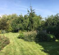 Garten bei einem Einfamilienhaus in Čierna Voda mit üppigem Grün und Rasen.