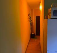 Ein schmaler Flur in einer Einzimmerwohnung mit einem Holzboden und sanfter Beleuchtung.