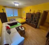 Wohnzimmer mit Holzboden, Sofa und Bett in einer Einzimmerwohnung.