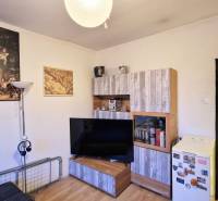 Einzimmerwohnung mit Möbeln in Holzoptik, Stehlampe und dekorativen Bildern an der Wand.